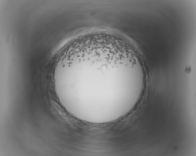 X0000111501496200908251037