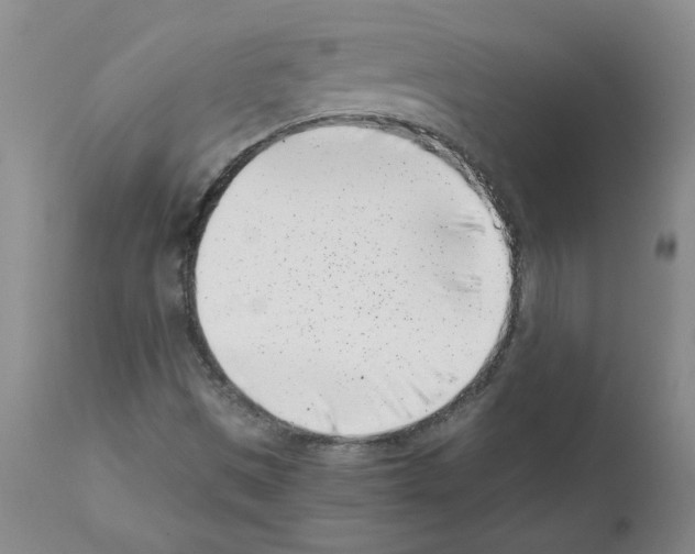 X0000111501497200908251037