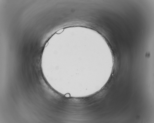 X0000111501500200908251037