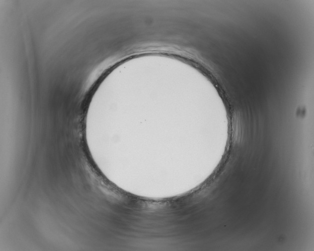 X0000111501501200908251037