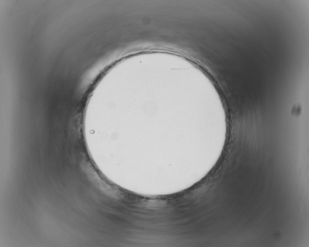 X0000111501503200908251037