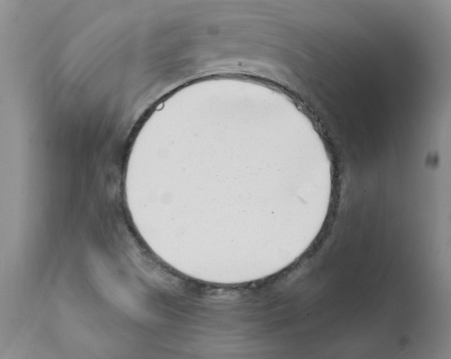 X0000111501505200908251037