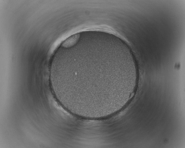 X0000111501506200908251037