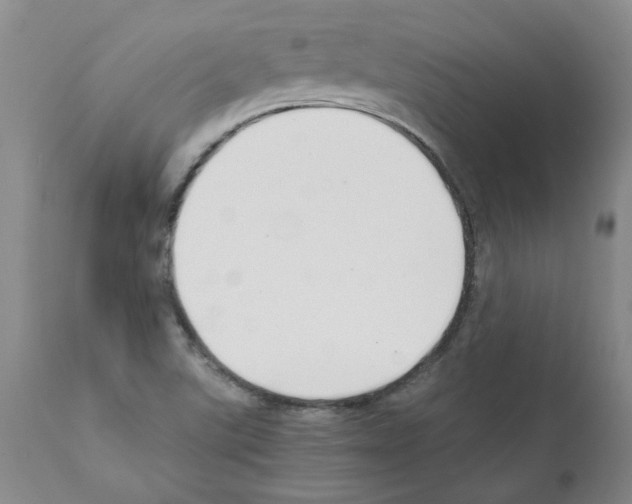 X0000111501507200908251037