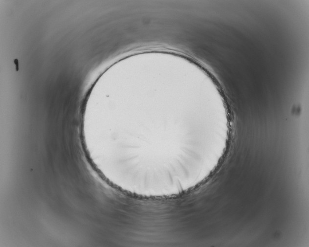 X0000111501508200908251037