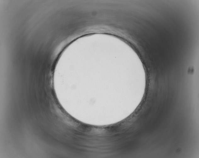 X0000111501509200908251037