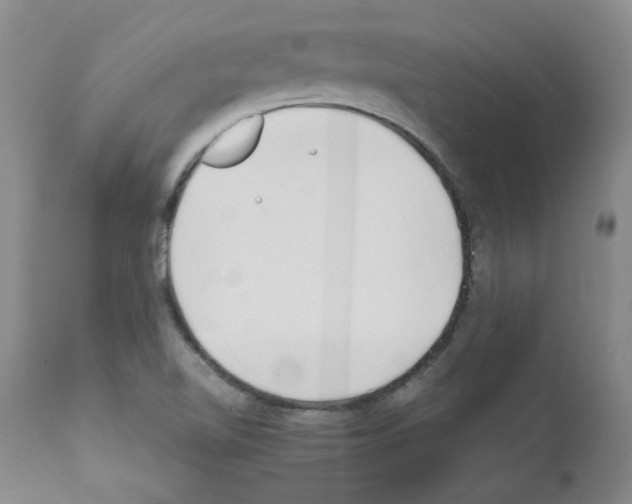 X0000111501510200908251037