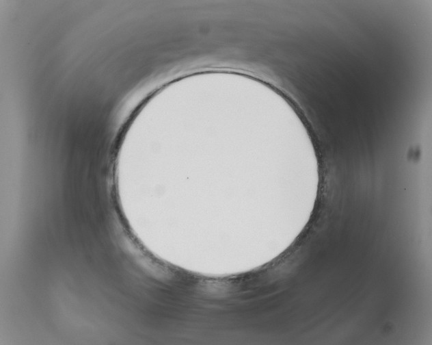 X0000111501511200908251037