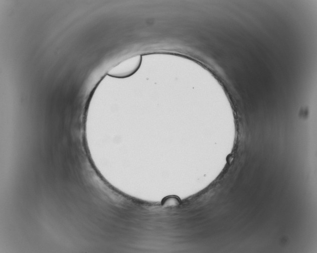 X0000111501512200908251037