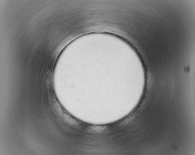 X0000111501513200908251037