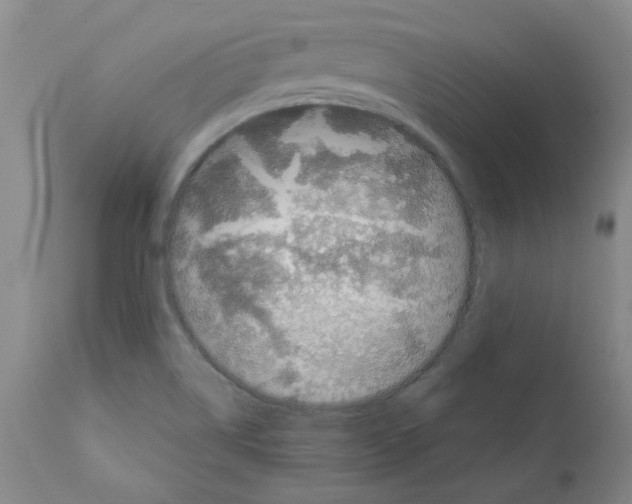 X0000111501514200908251037