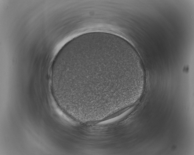 X0000111501515200908251037