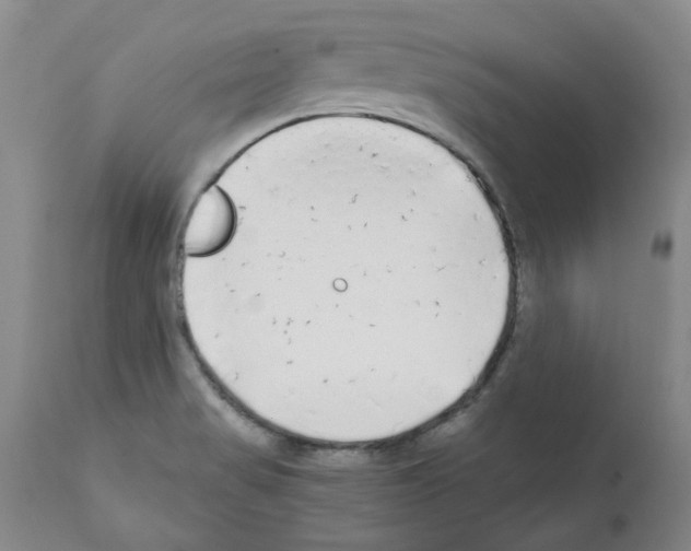 X0000111501517200908251037