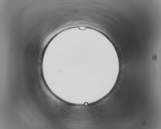 X0000111501518200908251037