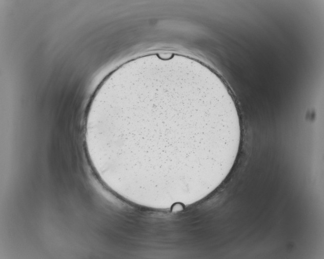 X0000111501519200908251037