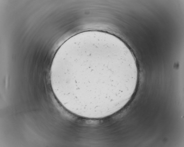 X0000111501521200908251037