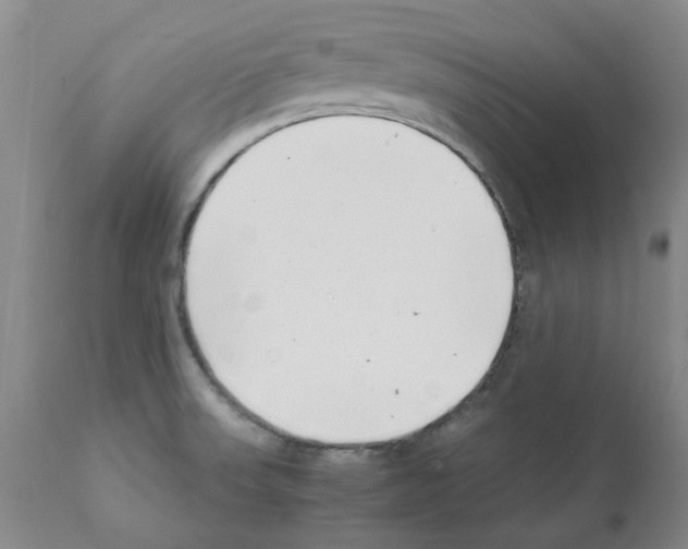 X0000111501523200908251037