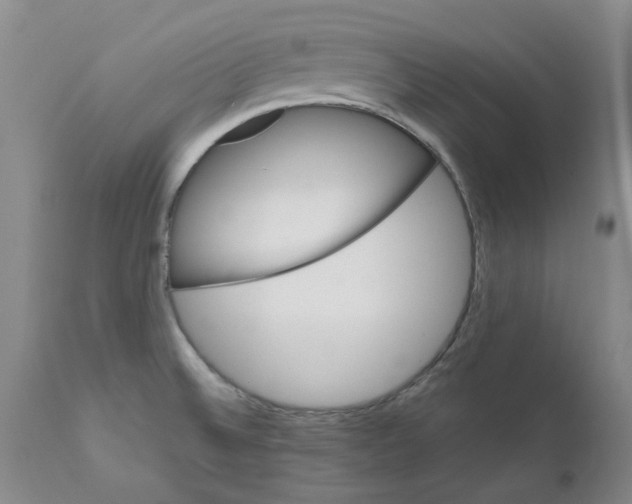 X0000111501524200908251037