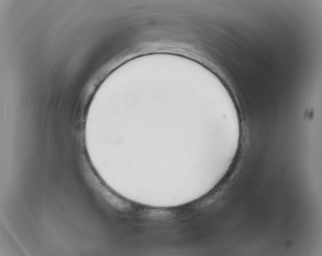 X0000111501525200908251037