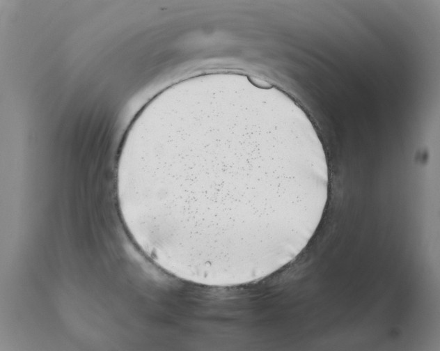 X0000111501527200908251037