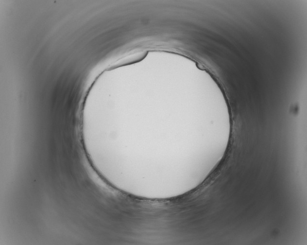 X0000111501528200908251037