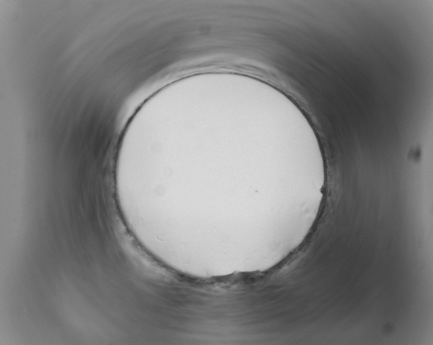 X0000111501530200908251037