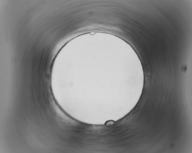 X0000111501531200908251037