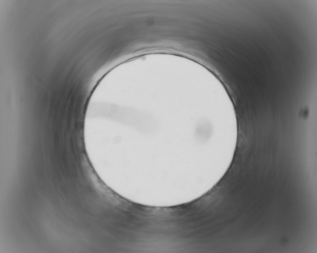 X0000111501534200908251037