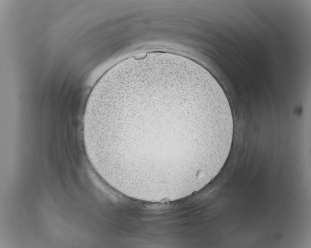 X0000111501535200908251037