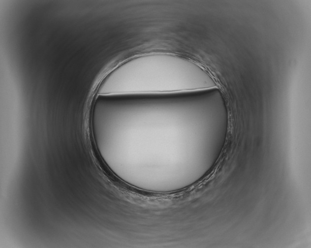 X0000111510004200907141113