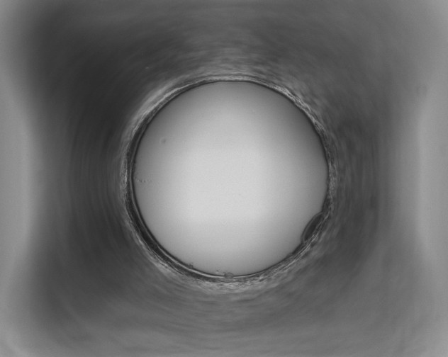 X0000111510005200907141113