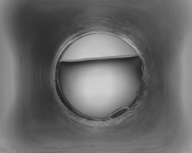 X0000111510007200907141113