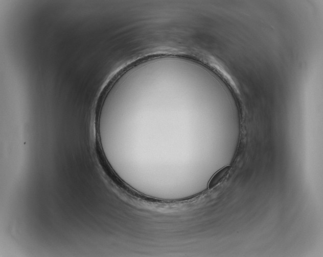 X0000111510011200907141113