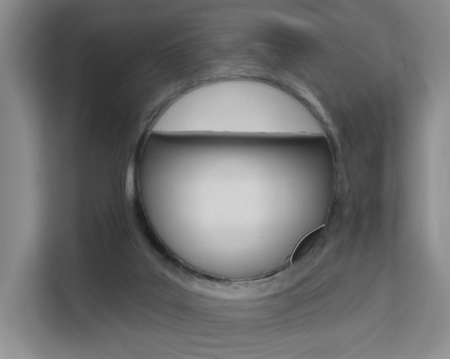 X0000111510019200907141113