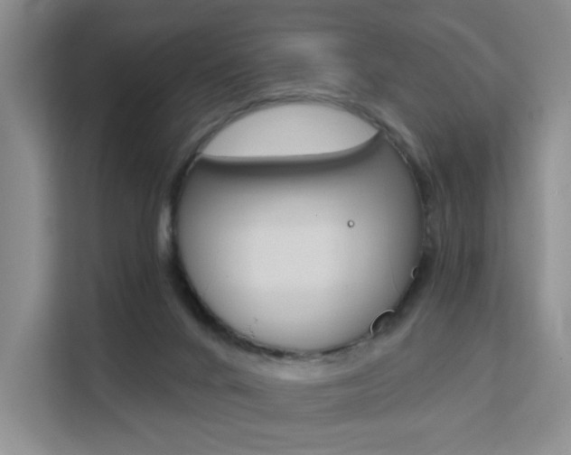X0000111510024200907141113