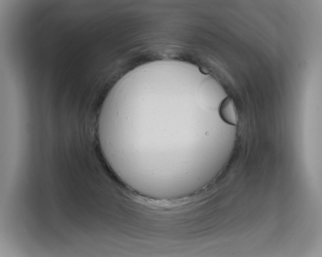 X0000111510030200907141113