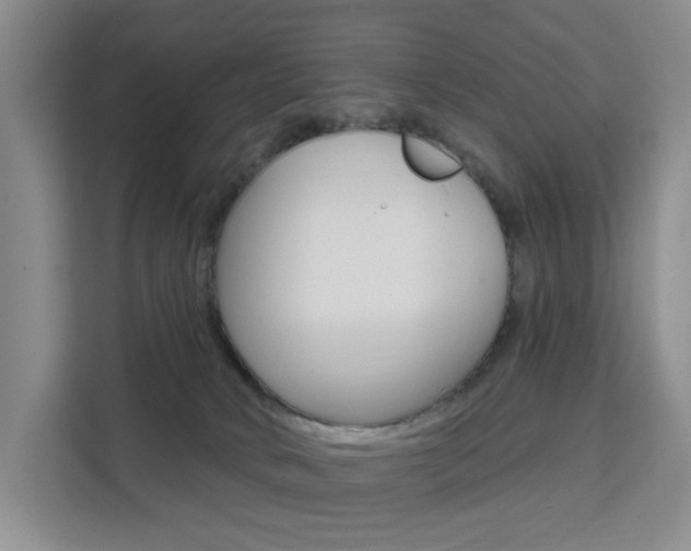 X0000111510034200907141113