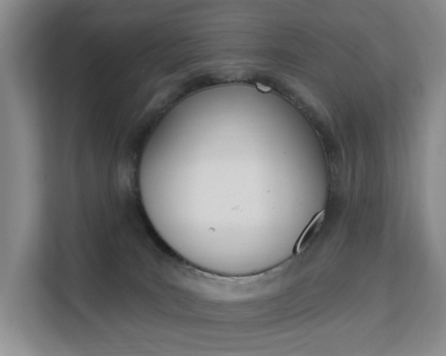 X0000111510035200907141113