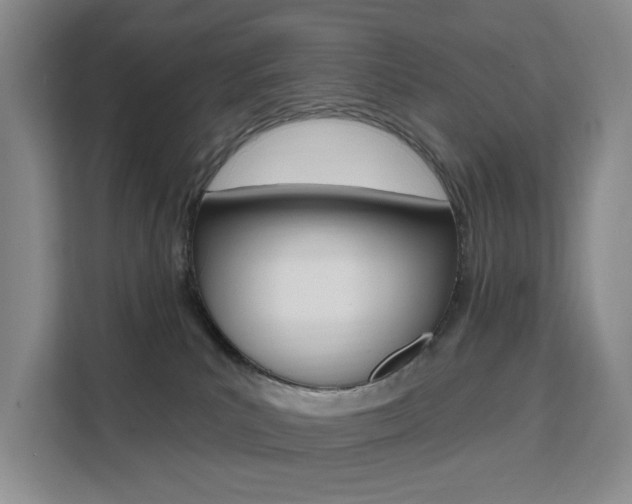 X0000111510039200907141113
