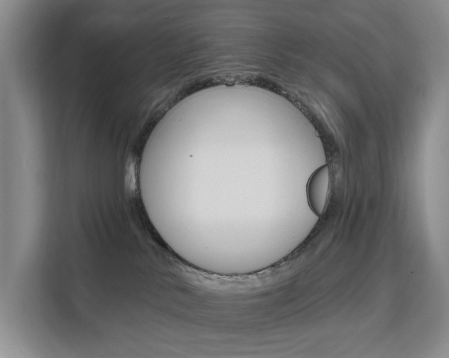X0000111510042200907141113