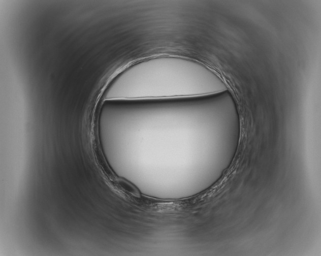 X0000111510050200907141112