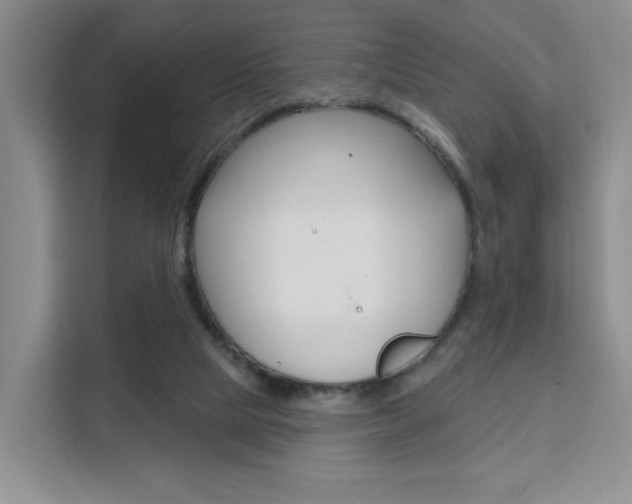 X0000111510065200907141112