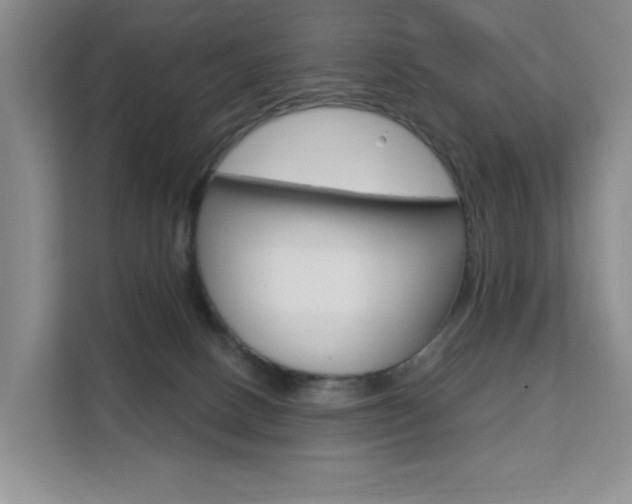 X0000111510082200907141113