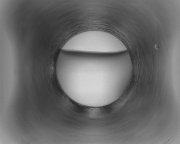 X0000111510085200907141113