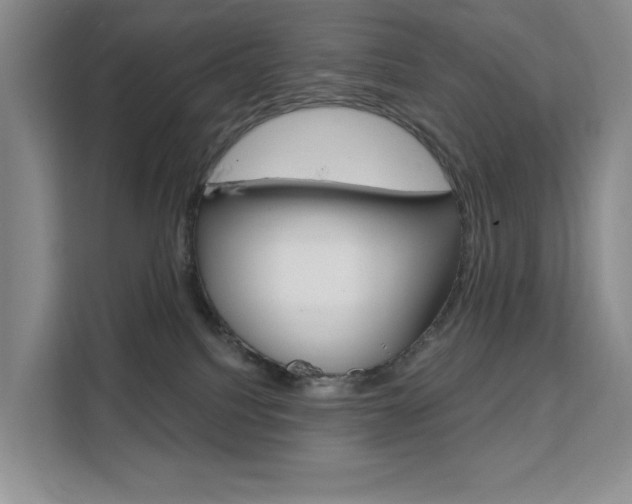 X0000111510088200907141113