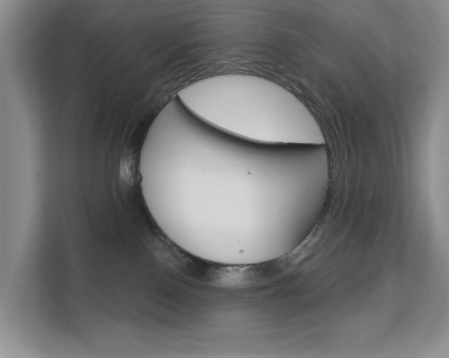 X0000111510090200907141113