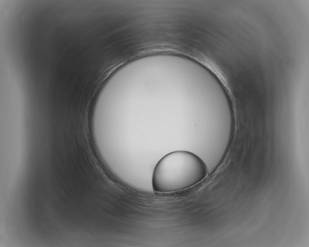X0000111510105200907141112