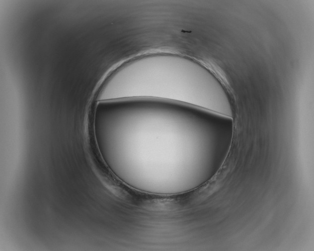 X0000111510108200907141112