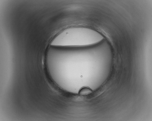 X0000111510115200907141112