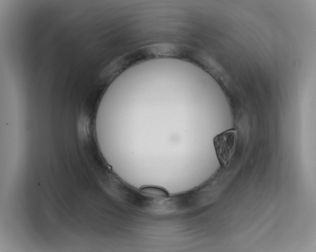 X0000111510117200907141112